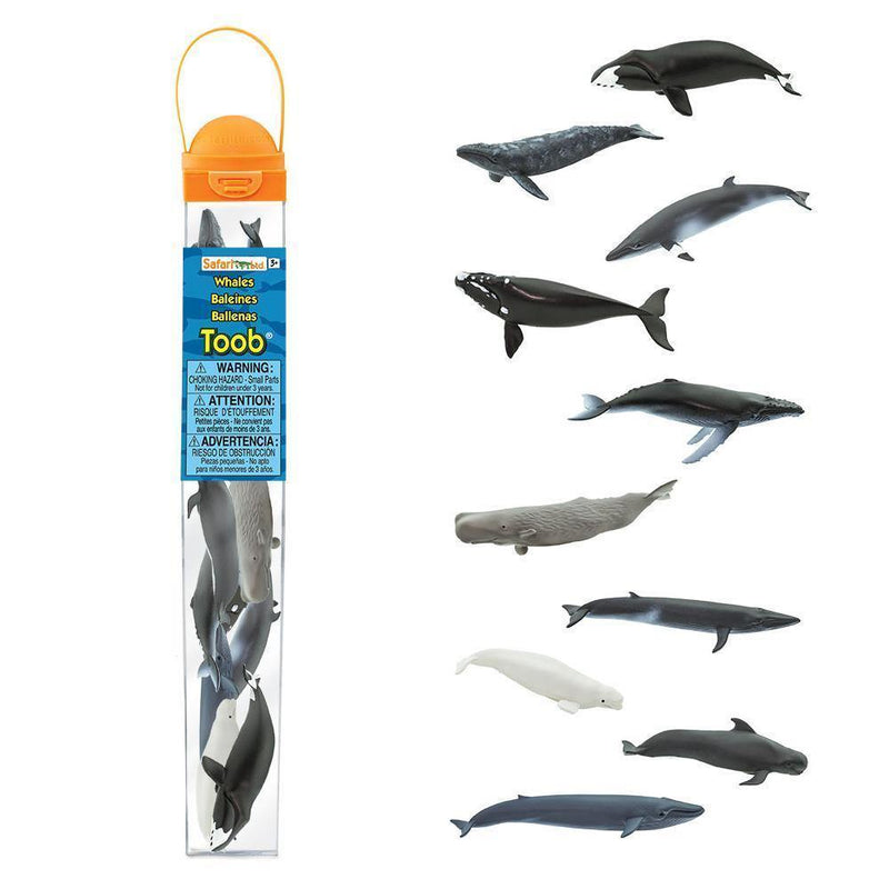 Safari Ltd. Whales Toob - Pisces Pet Emporium