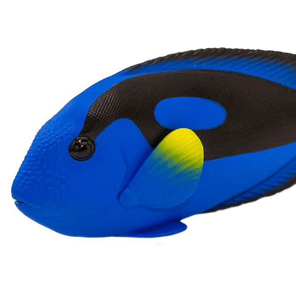 Safari Ltd. Blue Tang - Pisces Pet Emporium