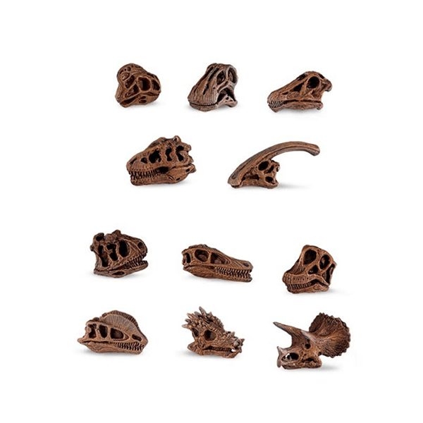 Safari Ltd. Dinosaur Skulls Toob - Pisces Pet Emporium