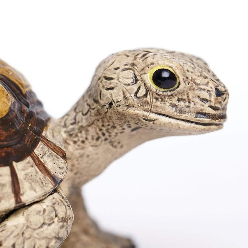 Safari Ltd. Tortoise Toy | Pisces