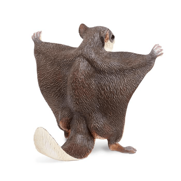 Safari Ltd. Flying Squirrel - Pisces Pet Emporium