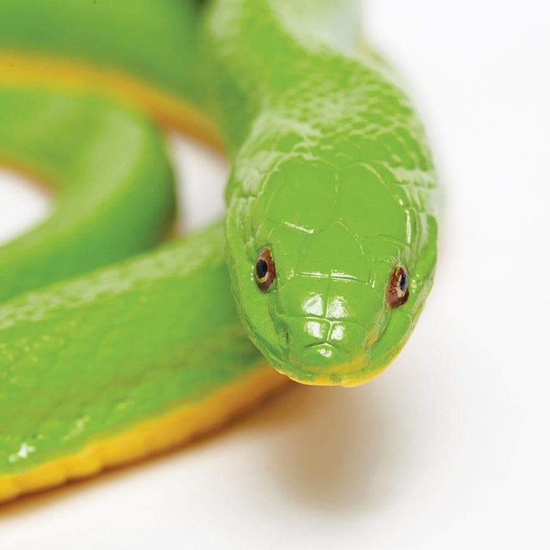 Safari Ltd. Rough Green Snake | Pisces