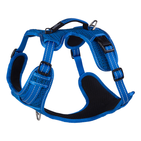 Rogz Nitelife Small Explore Harness - Available in 3 Colours - Pisces Pet Emporium