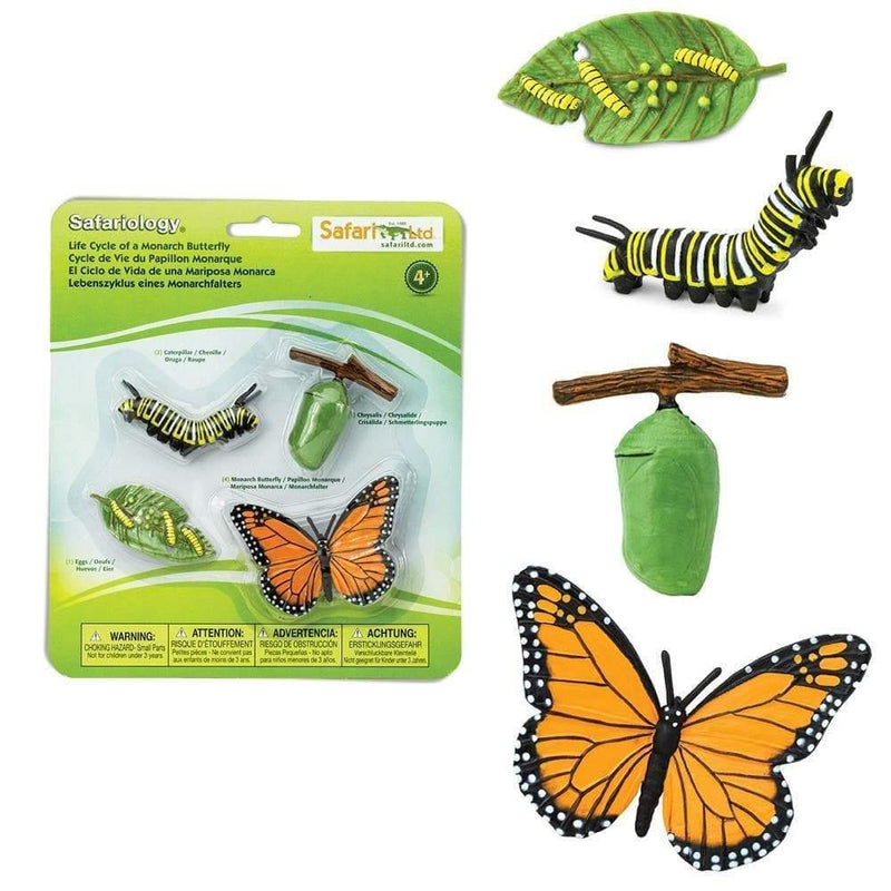 Safari Ltd. Life Cycle of a Monarch Butterfly - Pisces Pet Emporium