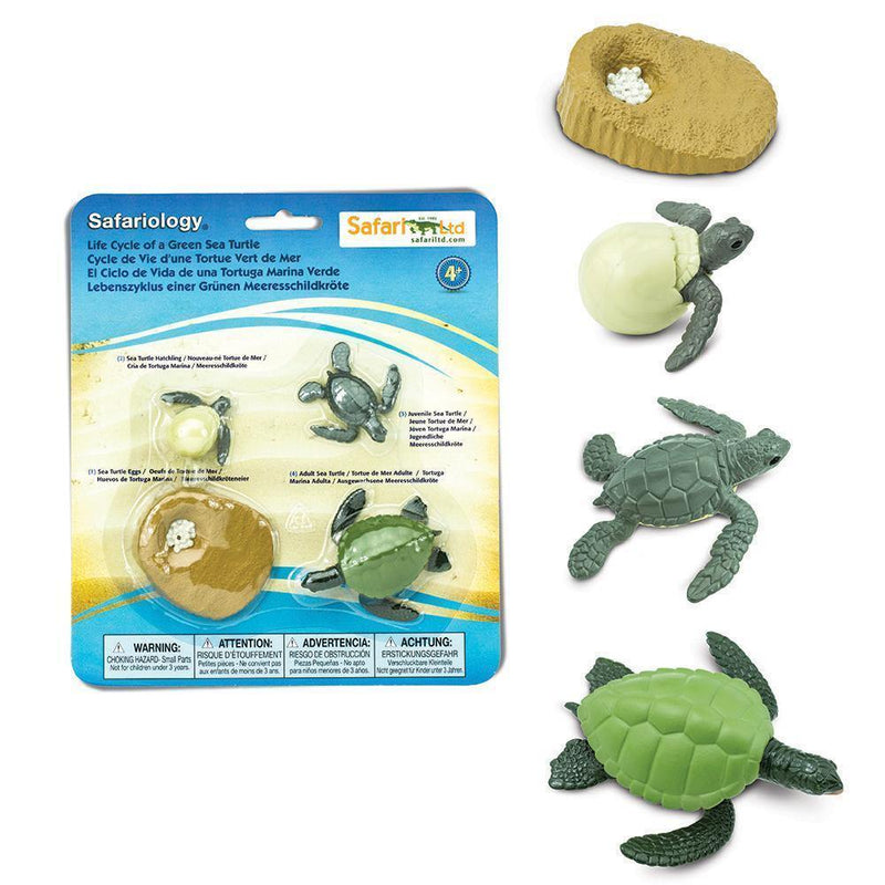 Safari Ltd. Life Cycle of a Green Sea Turtle - Pisces Pet Emporium