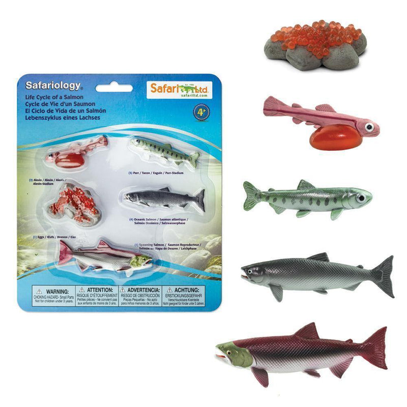 Safari Ltd. Life Cycle of a Salmon - Pisces Pet Emporium