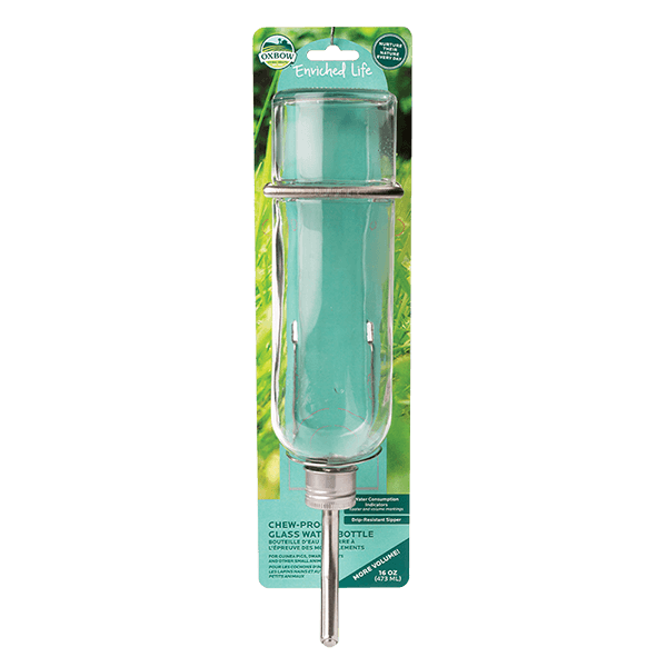 Oxbow Enriched Life Glass Water Bottle - Available in 3 Sizes - Pisces Pet Emporium