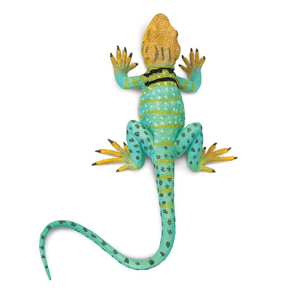 Safari Ltd. Collared Lizard - Pisces Pet Emporium