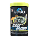 Cobalt Algae Grazers - Pisces Pet Emporium