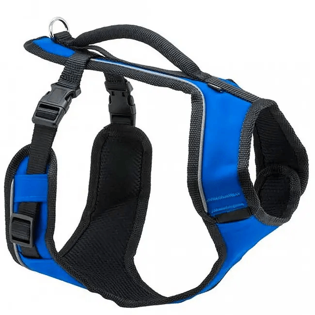 PetSafe EasySport Harness - Blue - Pisces Pet Emporium