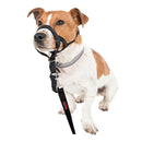 Halti Nylon Head Collar - Available in 5 Sizes - Pisces Pet Emporium