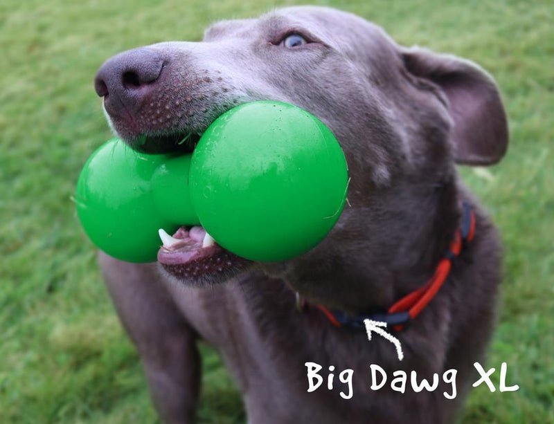 RuffDawg Big Dawg Barbell - Pisces Pet Emporium