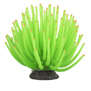 Tetra GloFish Anemone - Pisces Pet Emporium