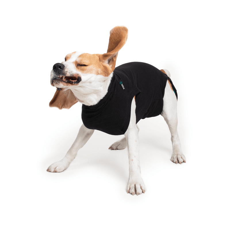 Suitical Recovery Suit for Dogs - Black - Pisces Pet Emporium