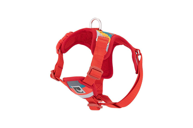 RC Pets Forte Step In Harness