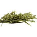 Brown's Tropical Carnival Oat Spray - Pisces Pet Emporium