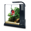 Fluval Premium Betta Kit - Pisces Pet Emporium