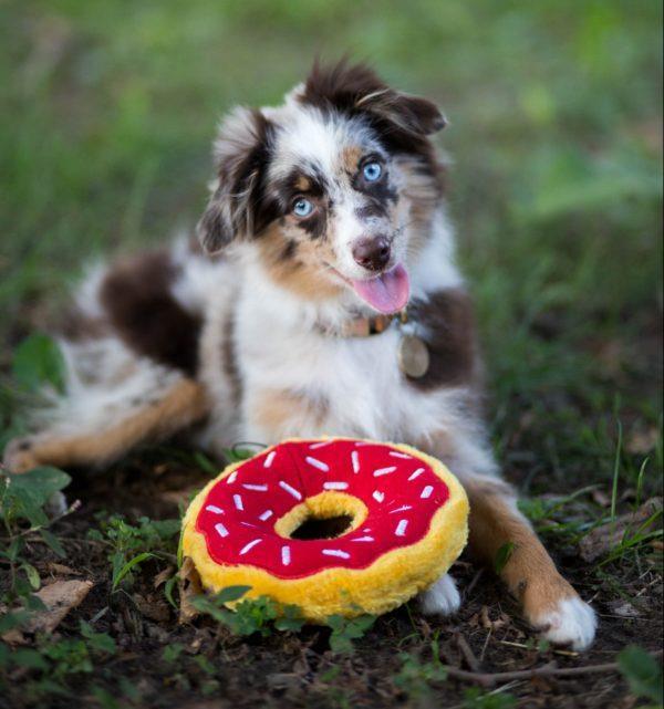 ZippyPaws Donutz - Cherry - Pisces Pet Emporium