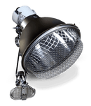 Arcadia Ceramic Clamp Lamp - Graphite - Pisces Pet Emporium