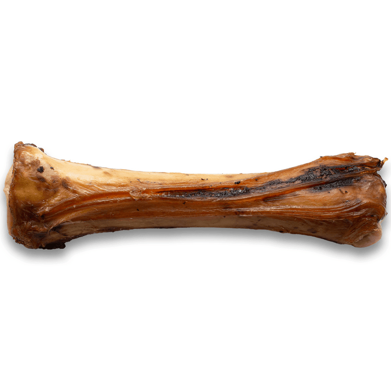 Silver Spur Asado - Beef Shin Bone - Pisces Pet Emporium