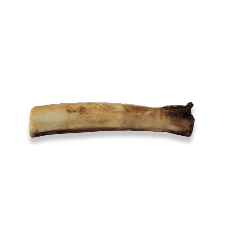 Silver Spur Asado - Beef Rib 6" - Pisces Pet Emporium