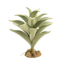 Zoo Med Desert Flora - Silver Mullein - Pisces Pet Emporium