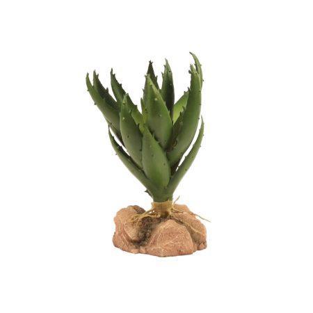 Zoo Med Desert Flora - Green Aloe - Pisces Pet Emporium