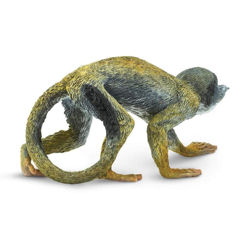 Safari Ltd. Spider Monkey Toy Model Replica | Pisces