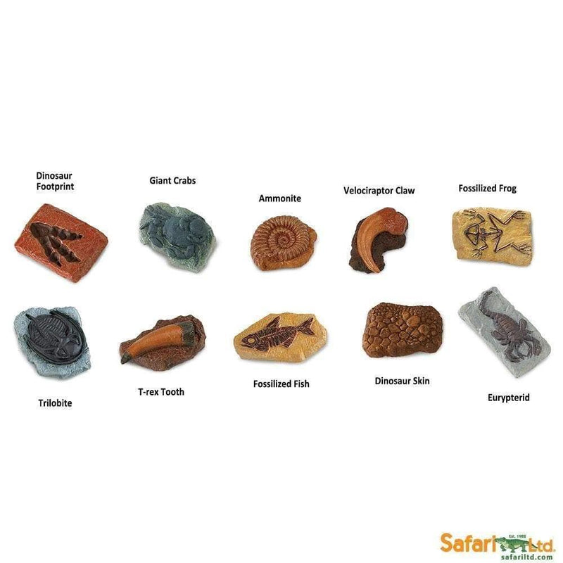 Safari Ltd. Ancient Fossils Toob - Pisces Pet Emporium