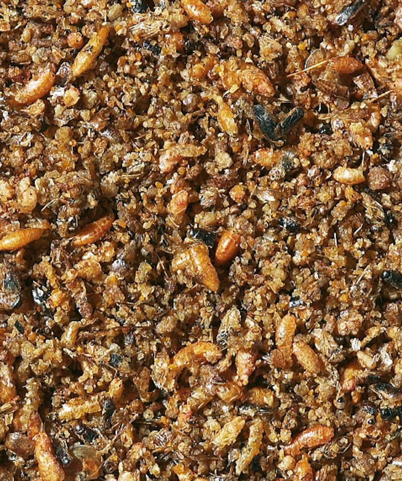 Versele-Laga NutriBird Insect Patee - 1kg - Pisces Pet Emporium
