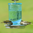 Perky Pet Mason Jar Bird Waterer - Pisces Pet Emporium