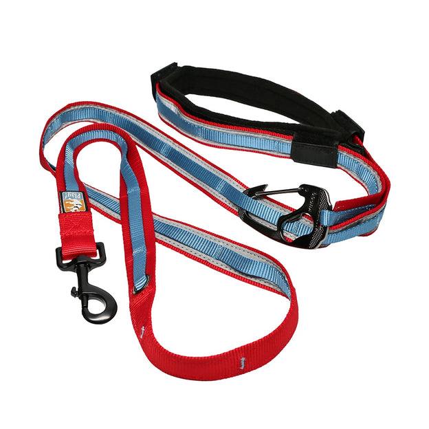 Kurgo 6-in-1 Quantum Dog Leash - Hands-Free | Pisces