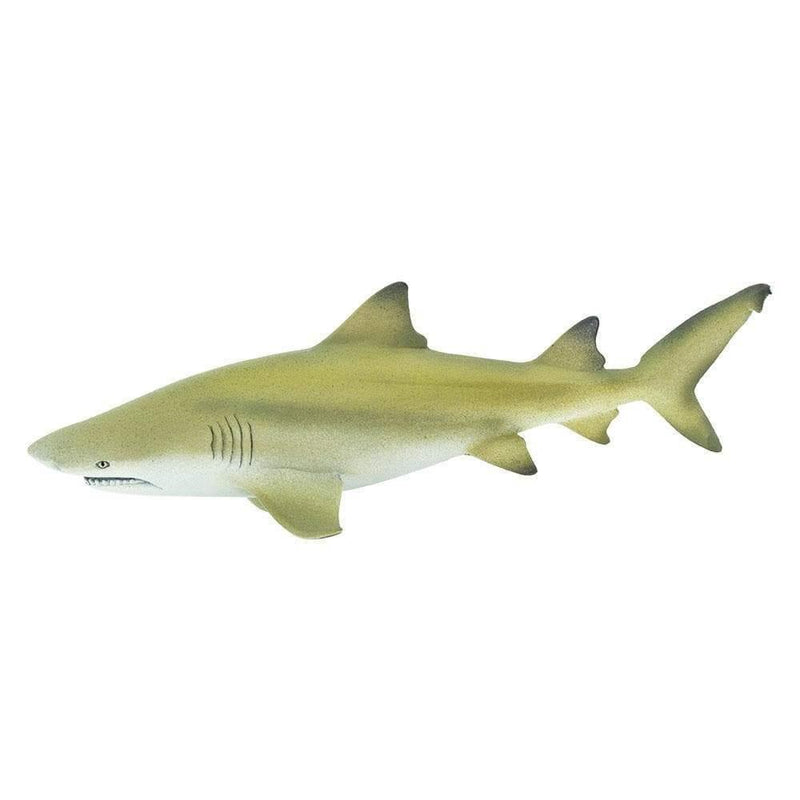 Safari Ltd. Lemon Shark Toy | Pisces