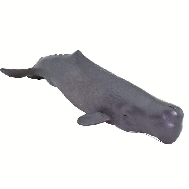 Safari Ltd. Sperm Whale Toy | Pisces