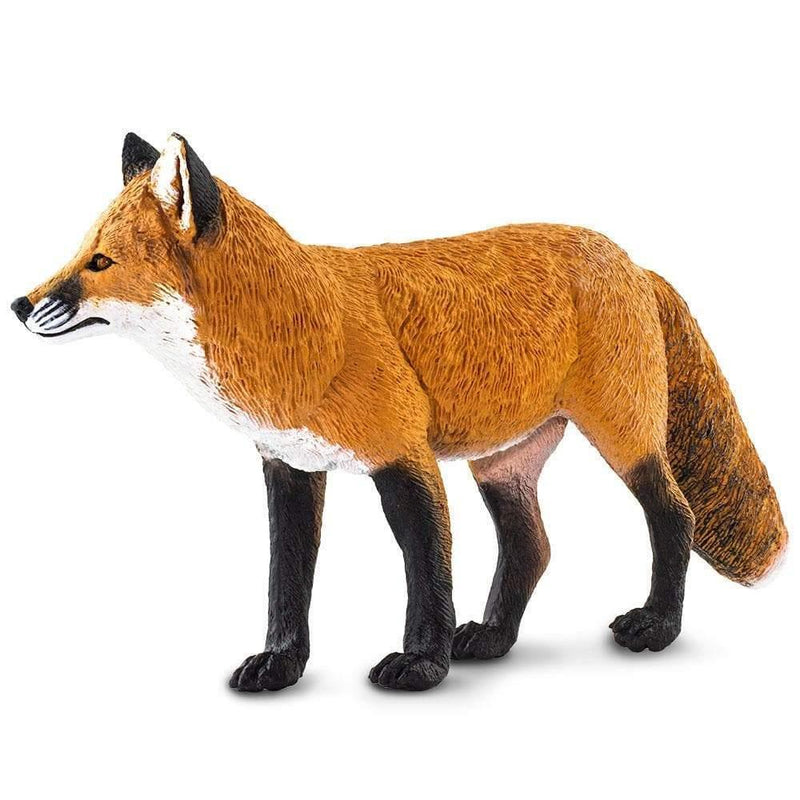 Safari Ltd. Red Fox Toy Replica | Pisces