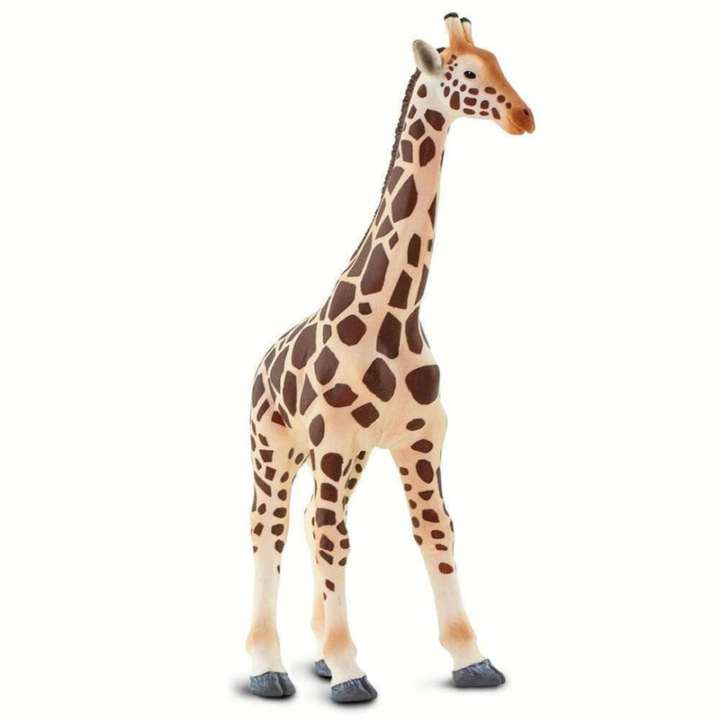 Safari Ltd. Giraffe Toy | Pisces