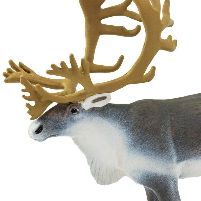 Safari Ltd. Caribou Toy | Pisces