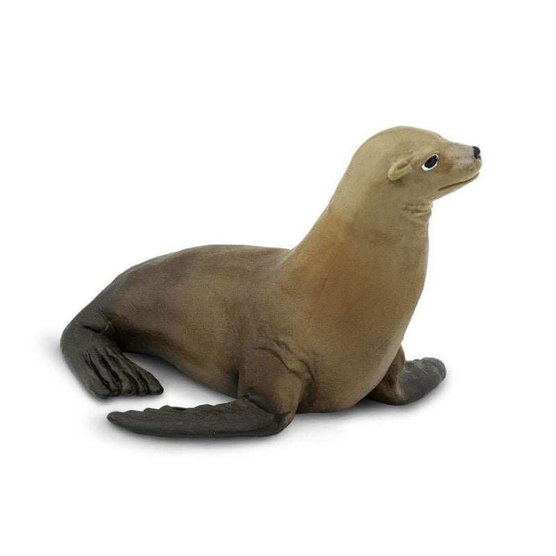 Safari Ltd. Sea Lion Toy Replica | Pisces