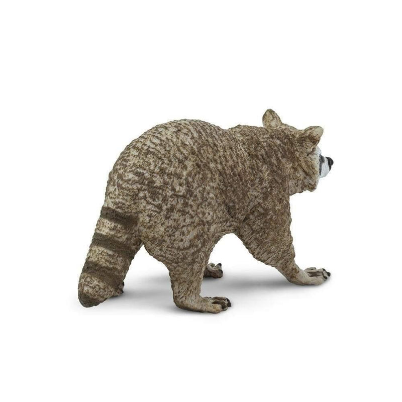 Safari Ltd. Raccoon Toy | Pisces