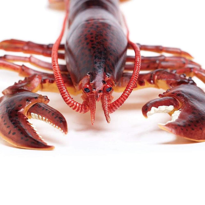 Safari Ltd. Maine Lobster Toy | Pisces