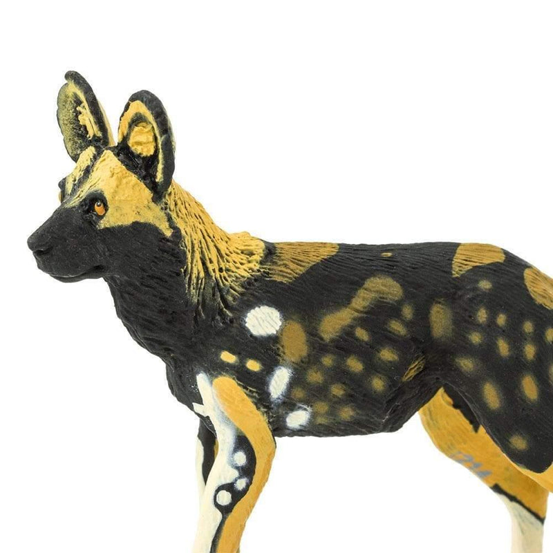 Safari Ltd. African Wild Dog Toy | Pisces