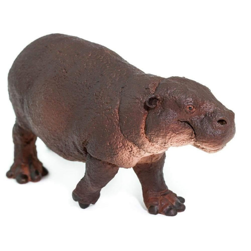 Safari Ltd. Pygmy Hippo | Pisces