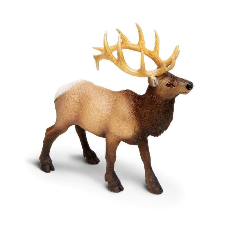 Safari Ltd. Elk Bull Toy | Pisces