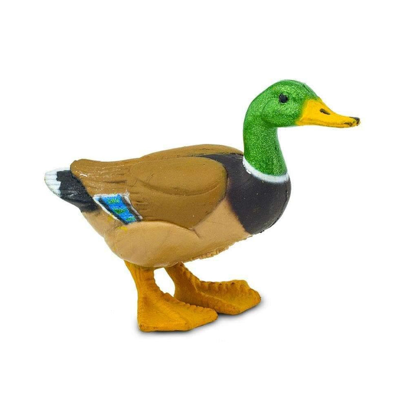 Safari Ltd. Duck Toys | Pisces