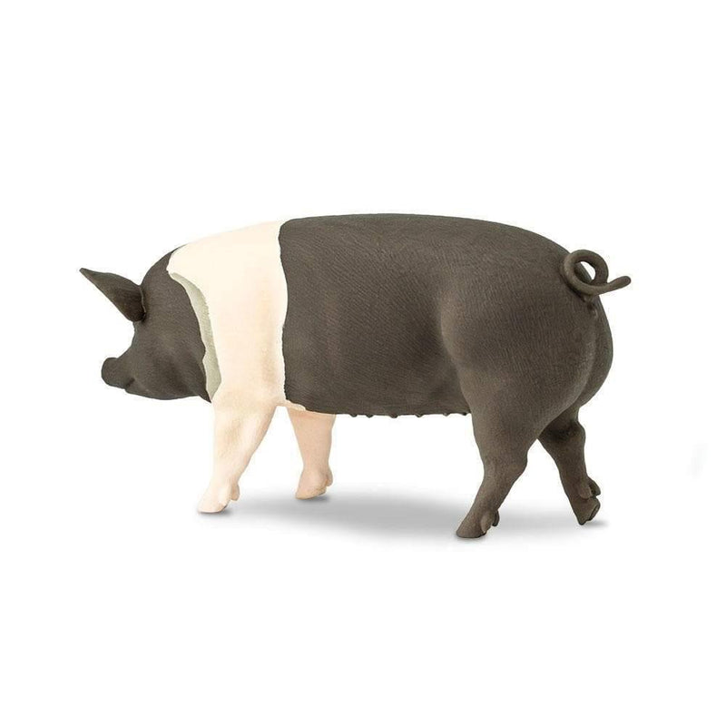 Safari Ltd. Hampshire Pig Toy | Pisces