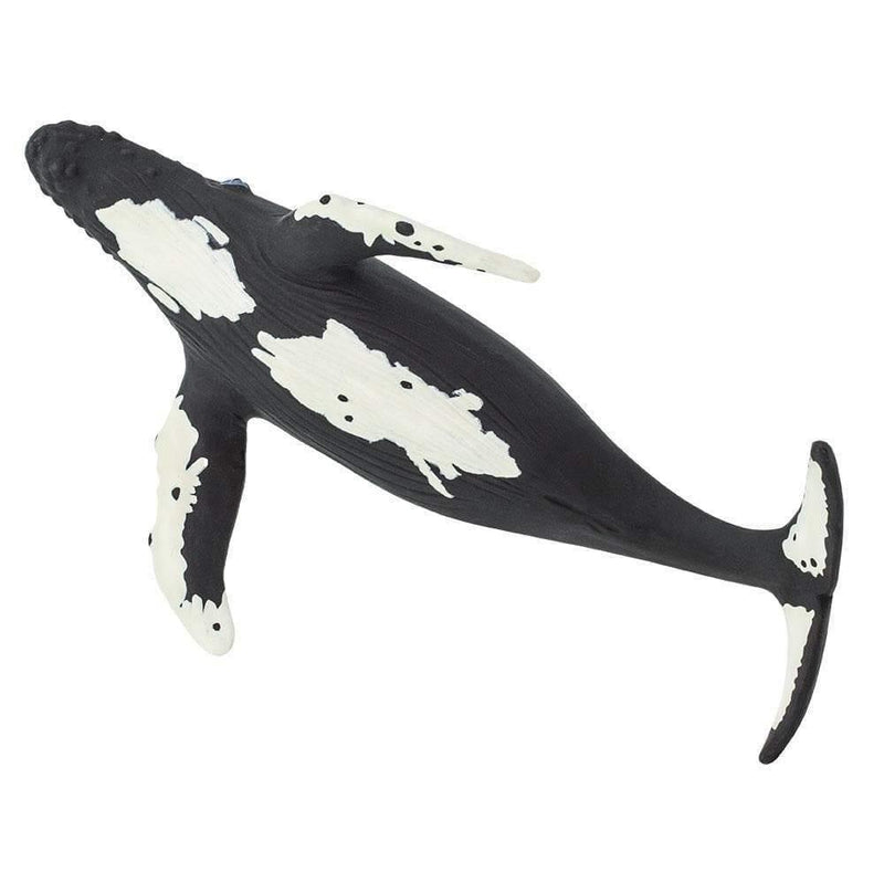 Safari Ltd. Humpback Whale Toy | Pisces