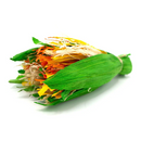 Oxbow Enriched Life Celebration Bouquet | Pisces