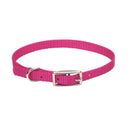 Coastal Single-Ply Dog Collar - Pisces Pet Emporium