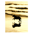 Avanti Dog On Beach Pet Sympathy Card - Pisces Pet Emporium