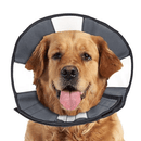 ZenPet Zen Cone - X-Large - Pisces Pet Emporium